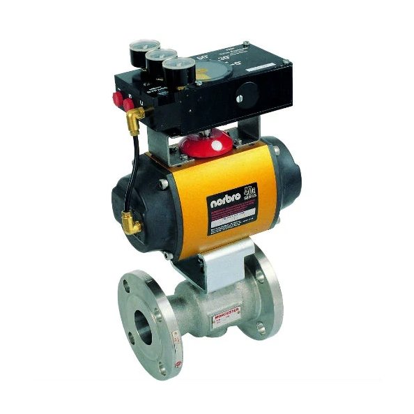 Worcester Controls CPT Characterized Seat Control Valve